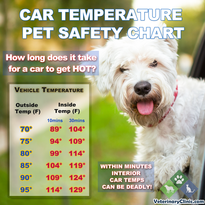 Car Temperature Pet Safety Chart